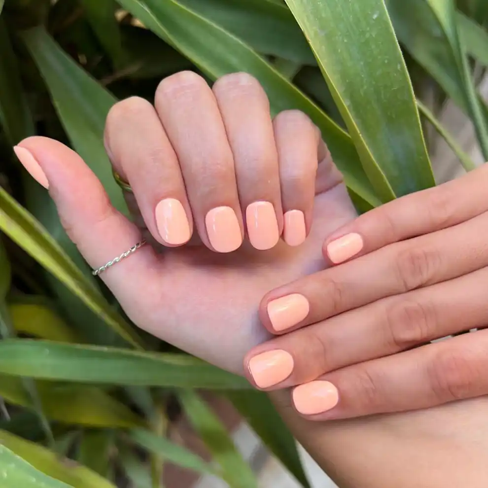 Manicura peach